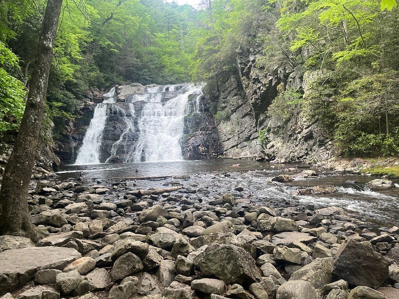 A serene trail view showcasing nature's beauty