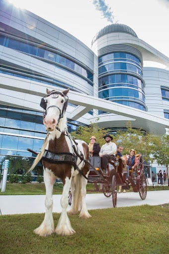 Enjoying a Carriage Ride