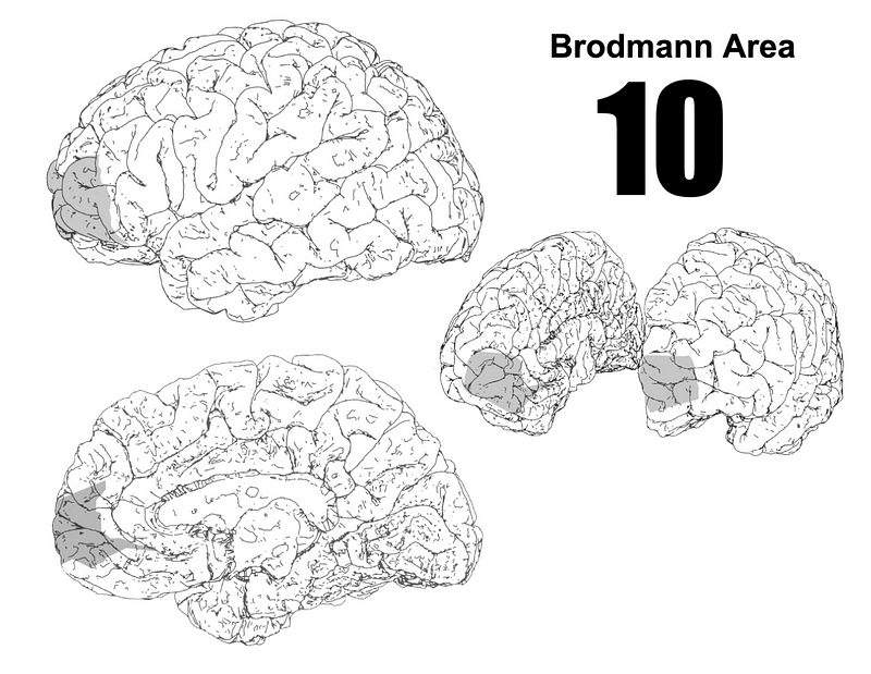 BA10 Brain Mapping