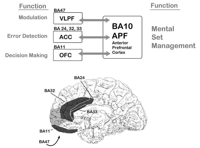 BA10 Functional Connections