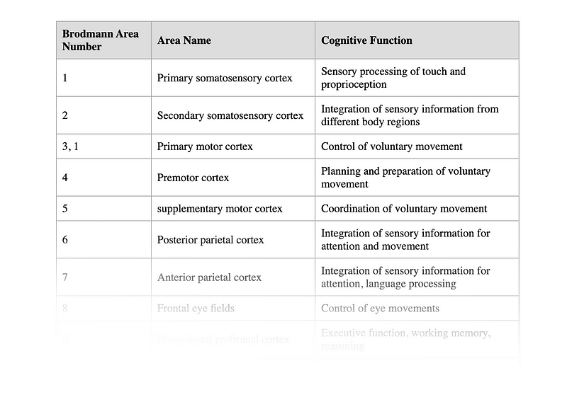 Overview of All Brodmann Areas