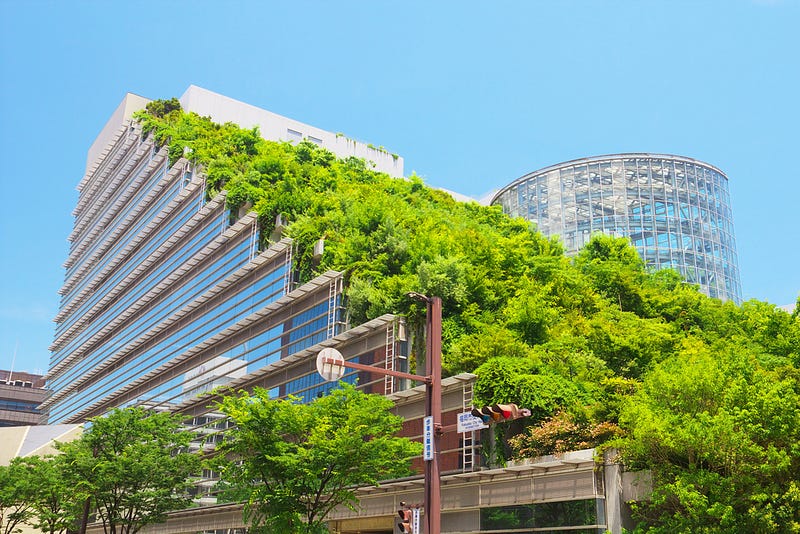 Green Roofs in Urban Environments