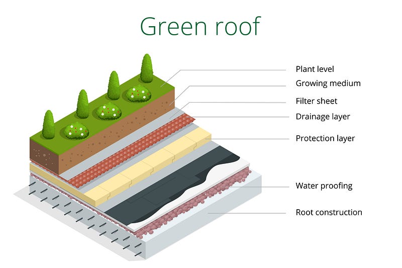 Layers of a Green Roof