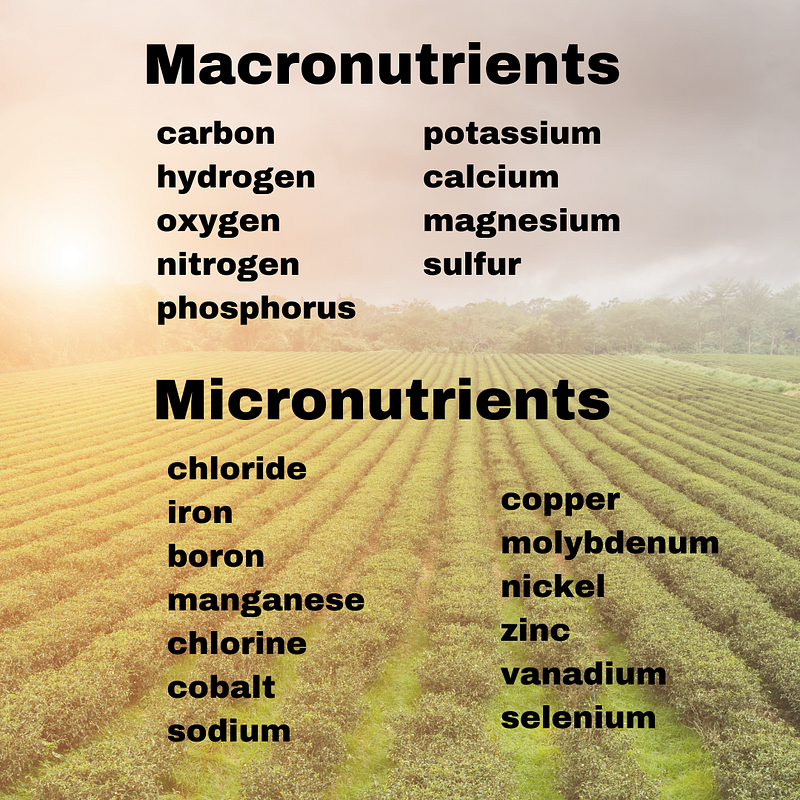 Essential nutrients for plants