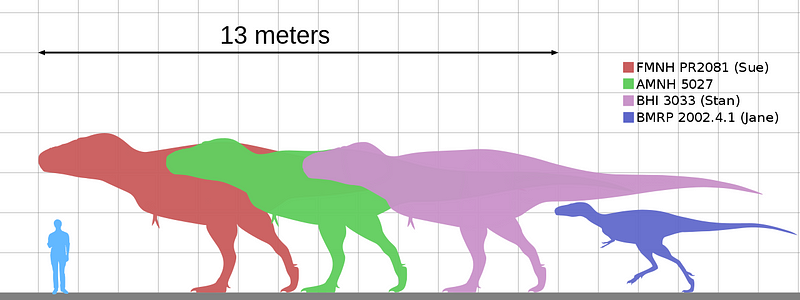 T. rex size comparison