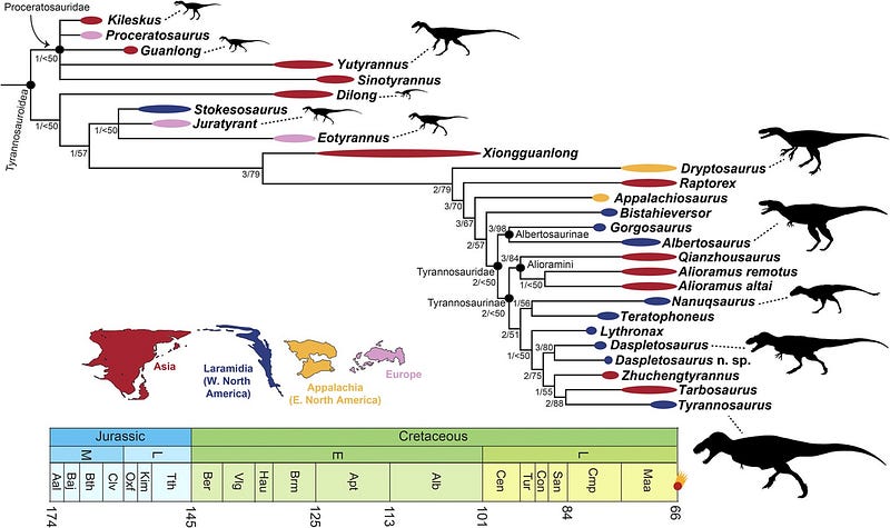 T. rex phylogenetic relationships