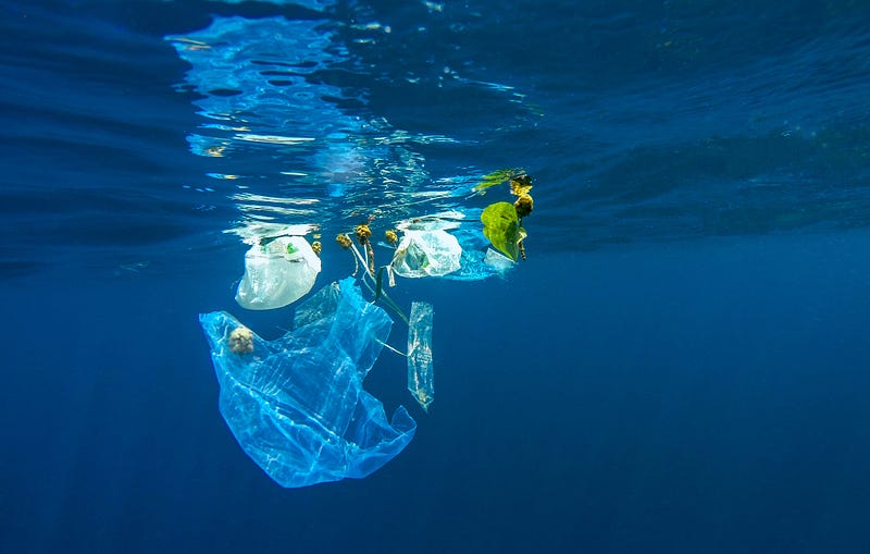 Ocean challenges and plastic pollution awareness