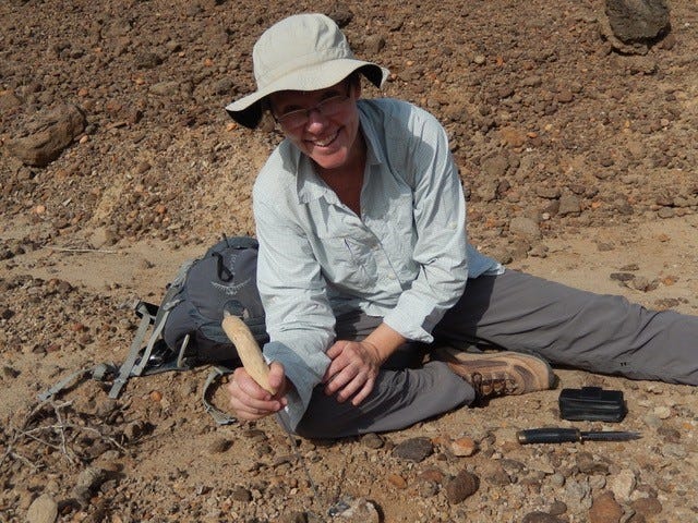 Early human pelvis and femur fossils from Kenya