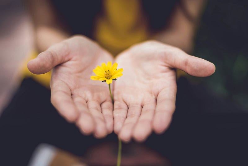 A serene garden representing self-love and growth