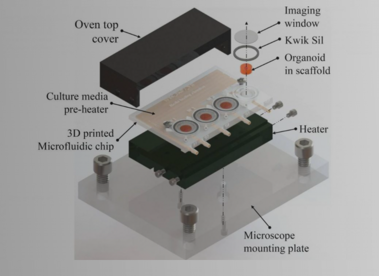 3D-printed microfluidic bioreactor for organ-on-chip