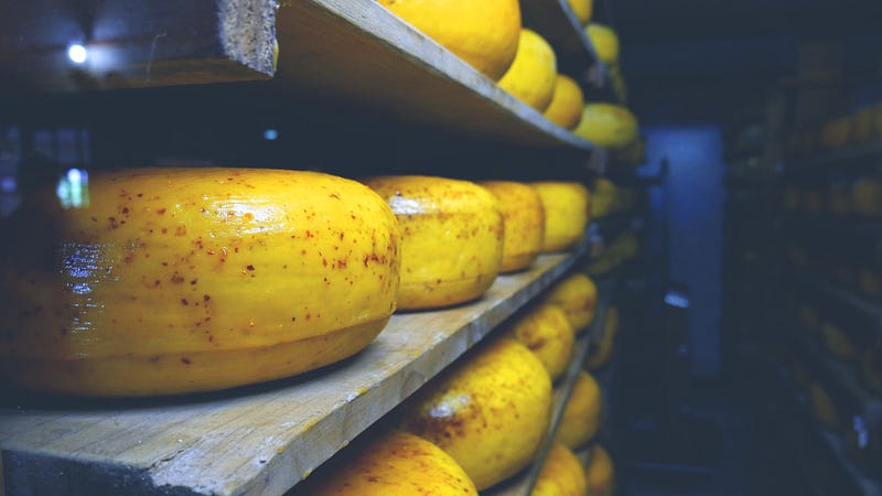 The fascinating process of cheese-making