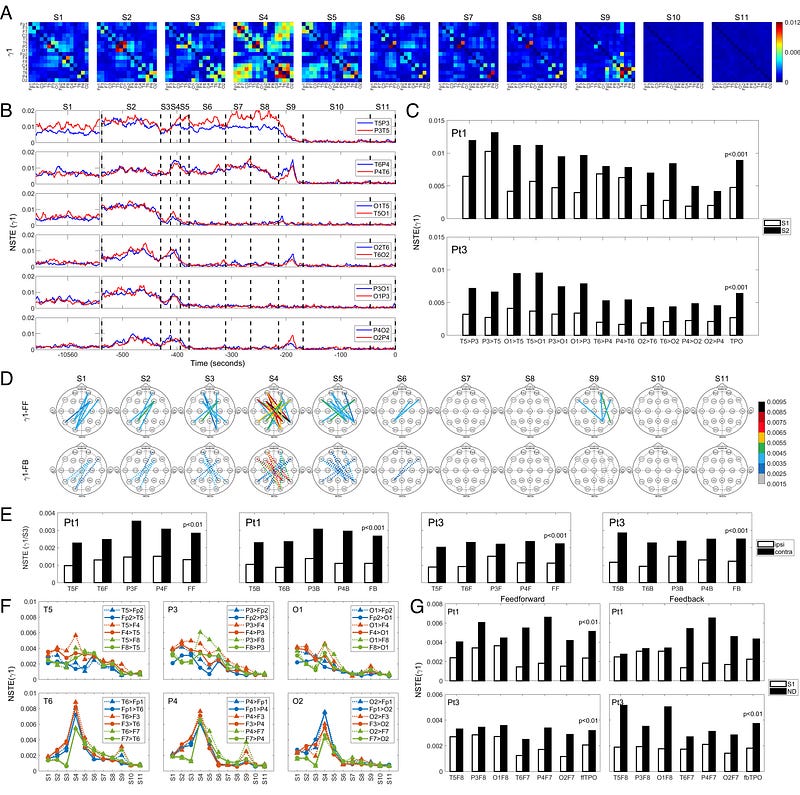 Brain activity during near-death experiences