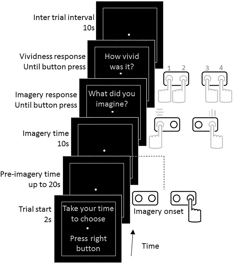 Experimental setup for mental imagery task